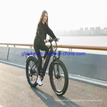 Lithium Battery Bafang Motor 750W 1000W 48V Fat Tire Mountain Bike Electric Bicycle